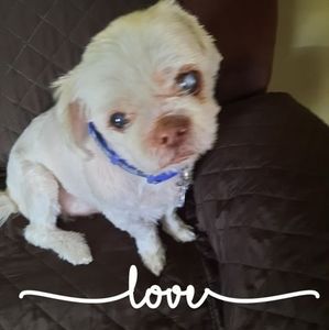 Meet your Posher, Carol